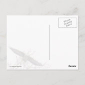 Adler hoch postkarte (Rückseite)