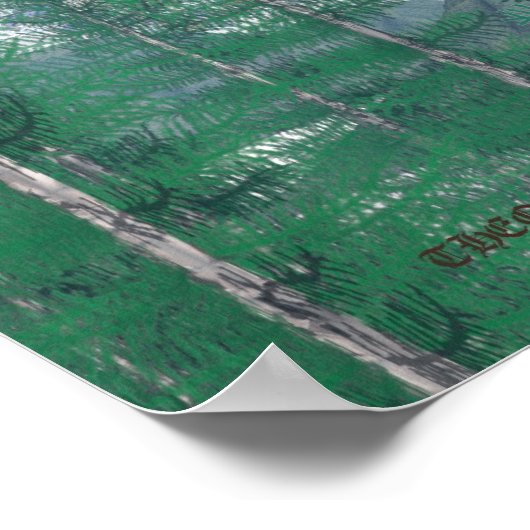 Adler II Poster (Ecke)