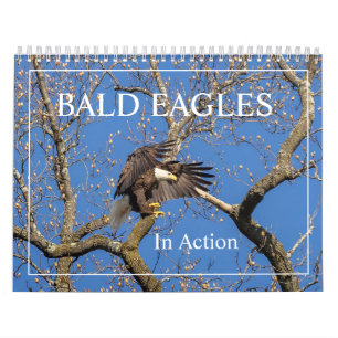 Adler im Aktionskalender Kalender