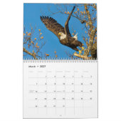 Adler im Aktionskalender Kalender (Mär 2027)