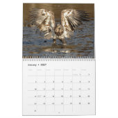 Adler im Aktionskalender Kalender (Jan 2027)