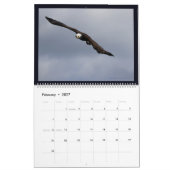 Adler im Alaska-II-Kalender Kalender (Feb 2027)