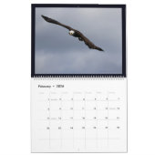 Adler im Alaska-II-Kalender Kalender (Feb 2026)