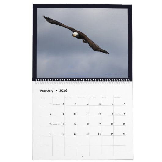 Adler im Alaska-II-Kalender Kalender (Feb 2026)
