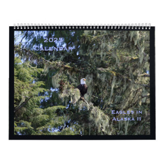 Adler im Alaska-II-Kalender Kalender