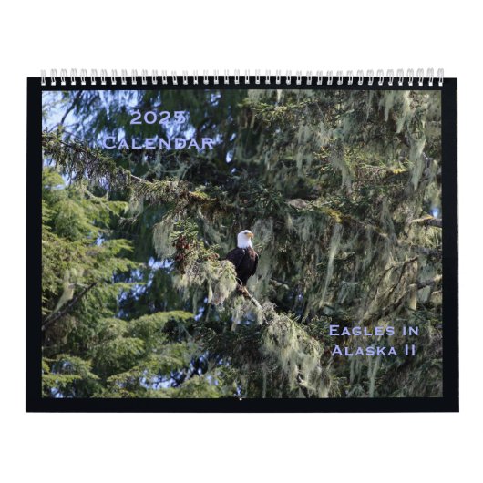 Adler im Alaska-II-Kalender Kalender (Titelbild)