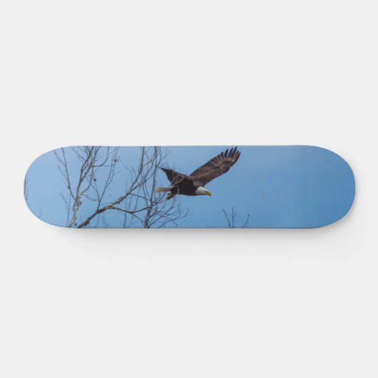 Adler im Flight Skateboard (Horizontal)