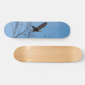 Adler im Flight Skateboard (Horizontal)