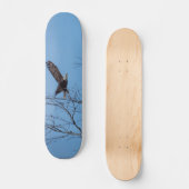 Adler im Flight Skateboard (Vorderseite)