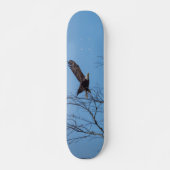 Adler im Flight Skateboard (Vorne)