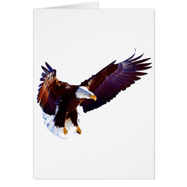 Adler im Flug (Vorne)