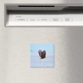 Adler im Flug Magnet (In Situ (Geschirrspüler))