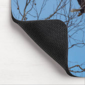 Adler im Flug Mousepad (Ecke)