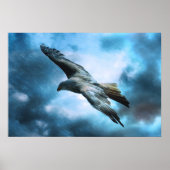 Adler im Flug Poster (Vorne)