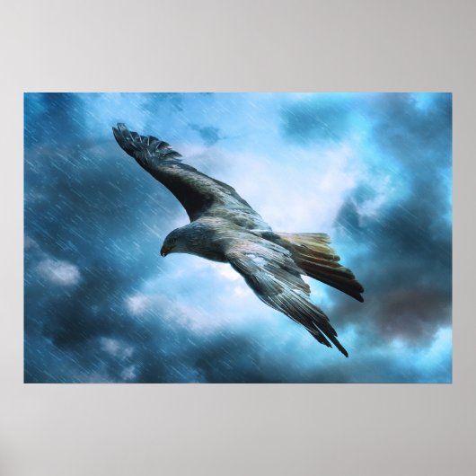 Adler im Flug Poster (Vorne)