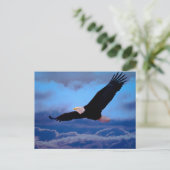 Adler im Flug Postkarte (Stehend Vorderseite)