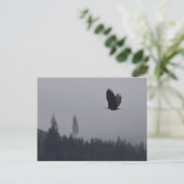 Adler im Flug Postkarte (Stehend Vorderseite)