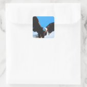 Adler im Flug Quadratischer Aufkleber (Tasche)