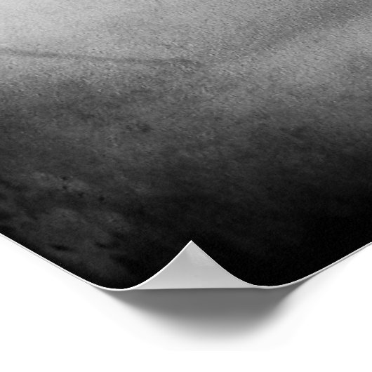 Adler im Flug schwarz-weiß Poster (Ecke)