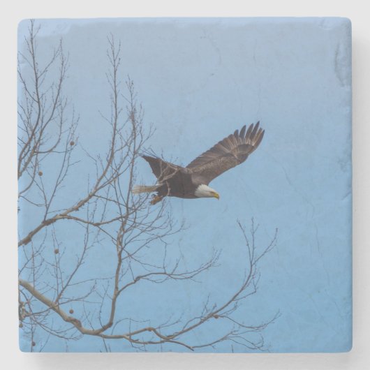 Adler im Flug Steinuntersetzer (Vorderseite)