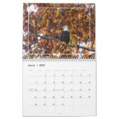 Adler im Herbst Kalender (Mär 2027)