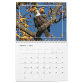Adler im Herbst Kalender (Jan 2027)