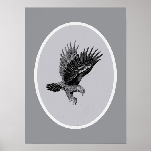 Adler im Licht Poster (Vorne)
