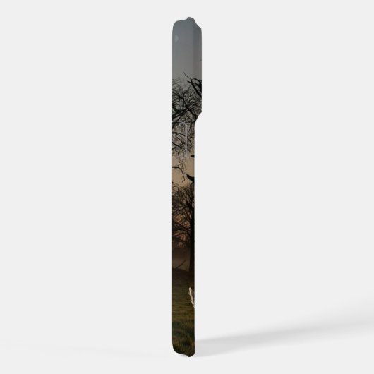 Adler in der Wildnis iPhone Hülle (Rechte Seite)