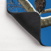 Adler in einem Schneebaum Mousepad (Ecke)
