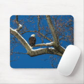 Adler in einem Schneebaum Mousepad (Mit Mouse)
