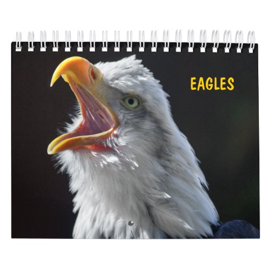 Adler-Kalender Kalender (Titelbild)