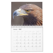 Adler-Kalender Kalender (Jan 2027)