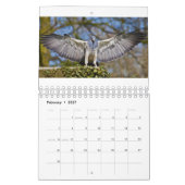 Adler-Kalender Kalender (Feb 2027)