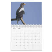 Adler-Kalender Kalender (Mär 2027)