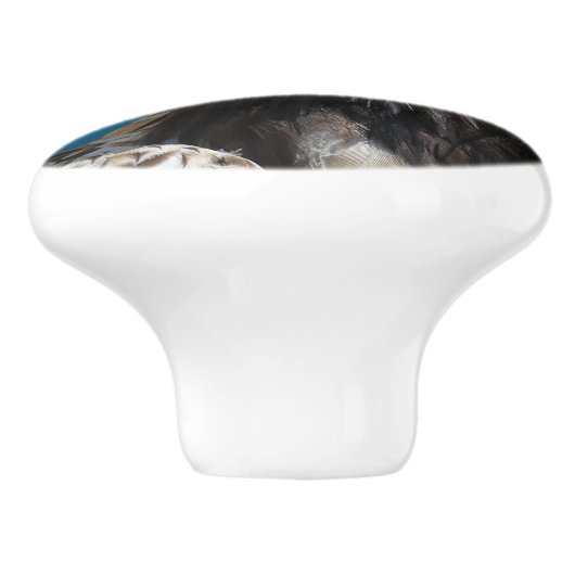 Adler Keramikknauf (Seitenansicht)