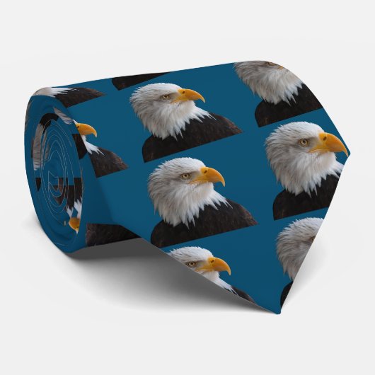 Adler Krawatte (Gerollt)