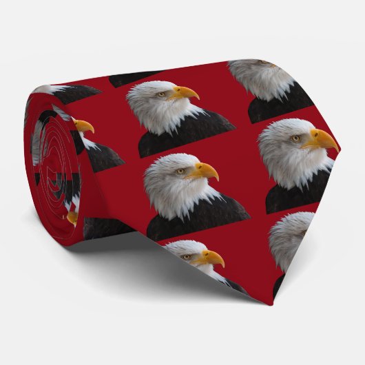 Adler Krawatte (Gerollt)