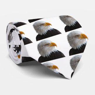 Adler Krawatte