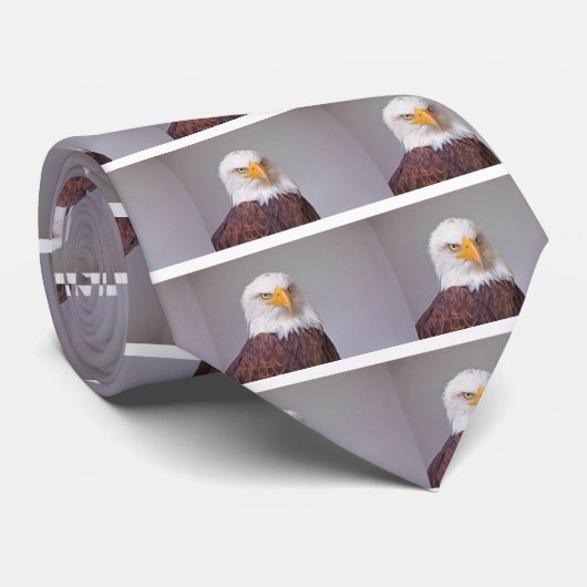 Adler Krawatte (Gerollt)