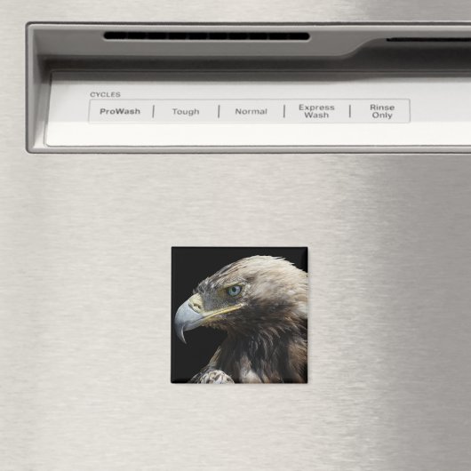 Adler Magnet (In Situ (Geschirrspüler))