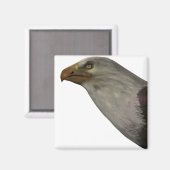 Adler Magnet (Vorderseite/Rückseite)