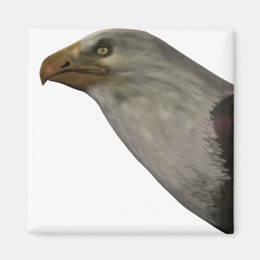 Adler Magnet (Vorne)