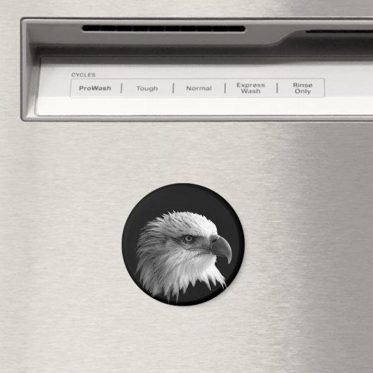 Adler Magnet (In Situ (Geschirrspüler))