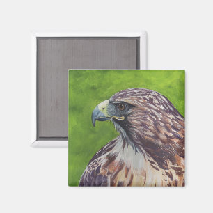 Adler Magnet