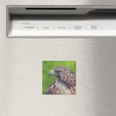 Adler Magnet (In Situ (Geschirrspüler))