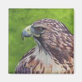 Adler Magnet (Vorne)