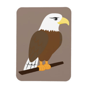 Adler Magnet