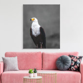 Adler Minimalistische selektive Farbfotografie Leinwanddruck (Insitu (Wohnzimmer))