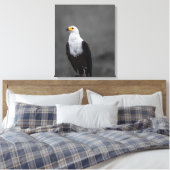 Adler Minimalistische selektive Farbfotografie Leinwanddruck (Insitu (Schlafzimmer))