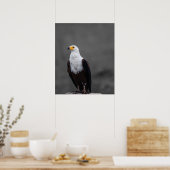 Adler Minimalistische selektive Farbfotografie Poster (Küche)